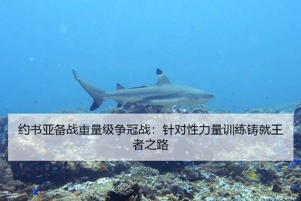 约书亚备战重量级争冠战：针对性力量训练铸就王者之路